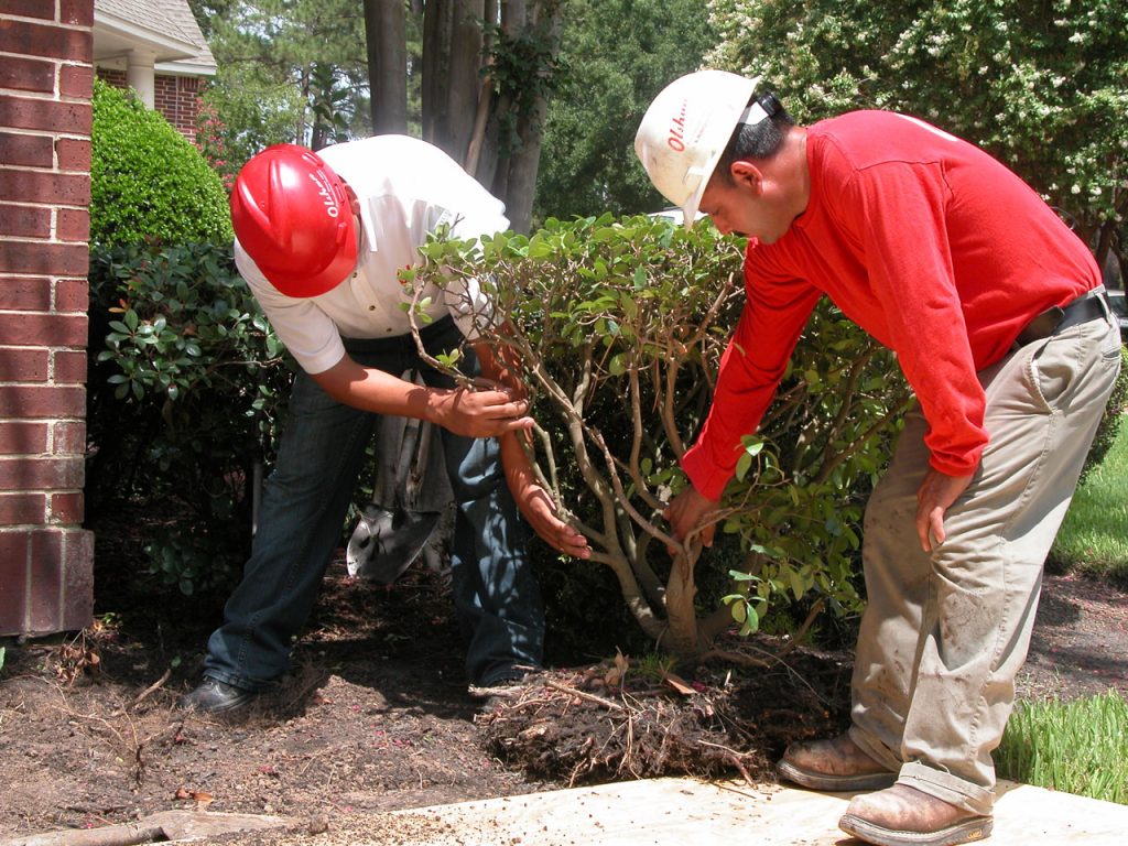 olshan crew repairs foundation in baton rouge