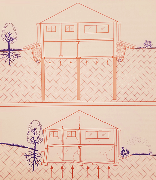 illustration of foundation landscaping